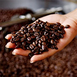 Ruta del Café