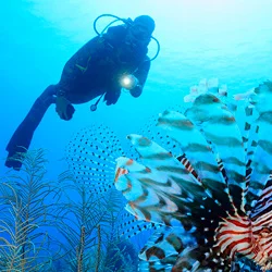Buceo Honduras
