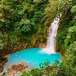 Green Action Nicaragua y Costa Rica
