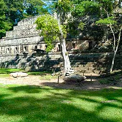 Mayas y ambiente caribeño