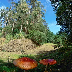 Naturaleza Costa Rica y ciudades coloniales Nicaragua