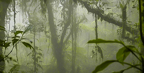Herencia Maya y Naturaleza. Herencia Maya y Naturaleza.