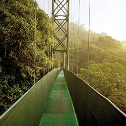 Monteverde Cloud Forest