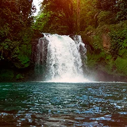 Sarapiquí