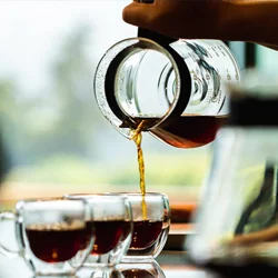 Café de Altura en Boquete y Tierras Altas
