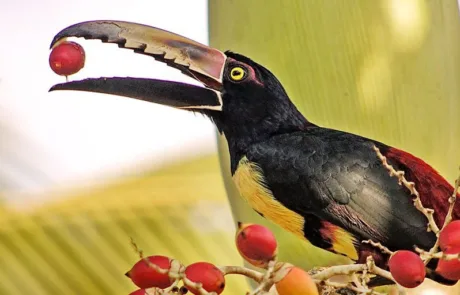 Costa Rica, Centroamérica