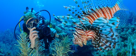 Buceo en Centroamérica