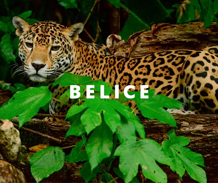 Requisitos para viajar a Belice
